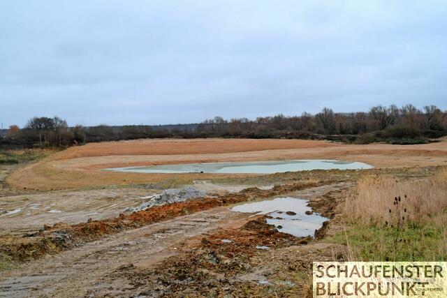 Foto: Frank Engel-Strebel