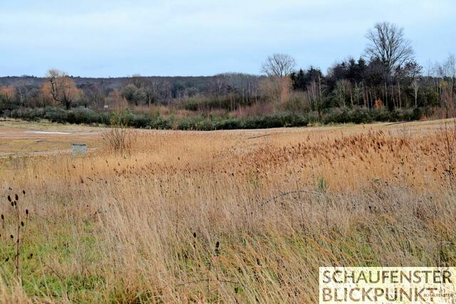 Foto: Frank Engel-Strebel