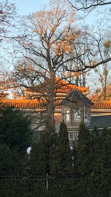 Aus China importiert: Dachziegel | Foto: privat