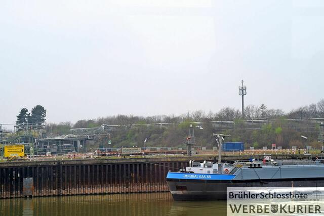 Foto: Frank Engel-Strebel