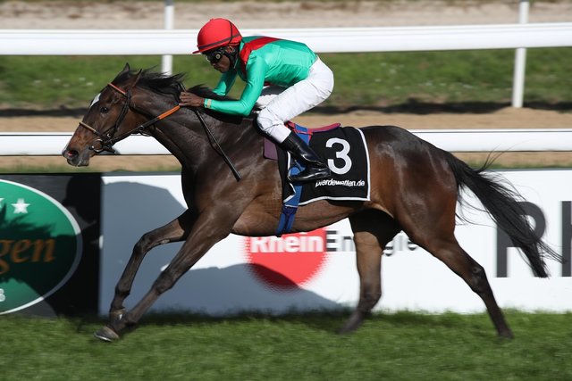 Axana und Jockey Eduardo Pedroz | Foto: Marc Rühl