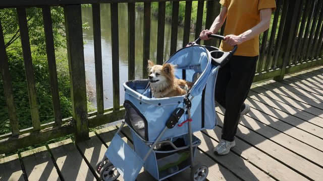 So geht's auch! | Foto: Heinz Könen