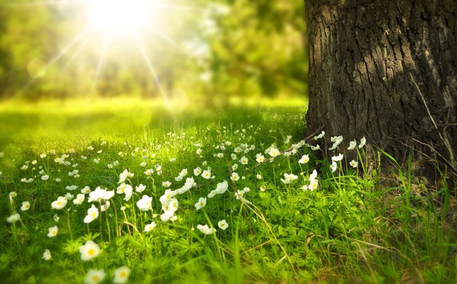 Einladung zur VFG Sommer Wanderung 2019
