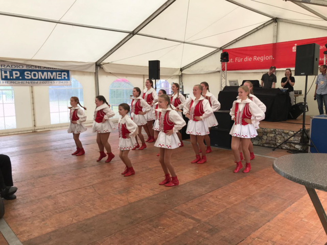 Kindertanzgruppe Närrische Brückenwache Alzenbach | Foto: Erwin Höller 