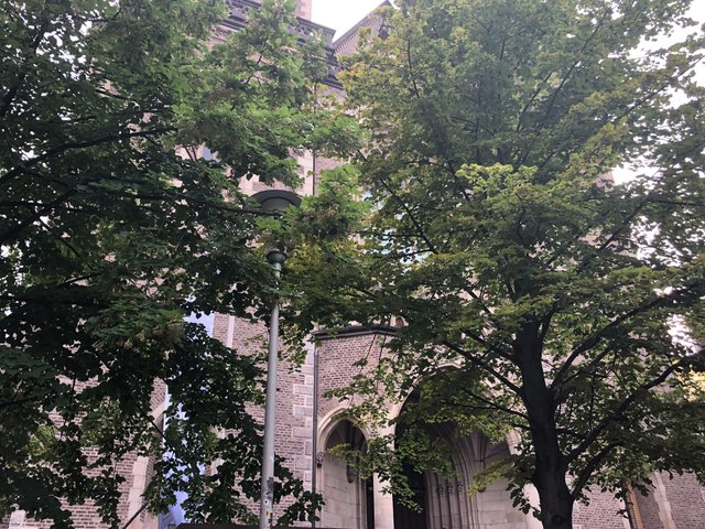Blick durch die Bäume vor der Kölnstraße aus auf das Hauptportal der Stiftskirche
 | Foto: privat