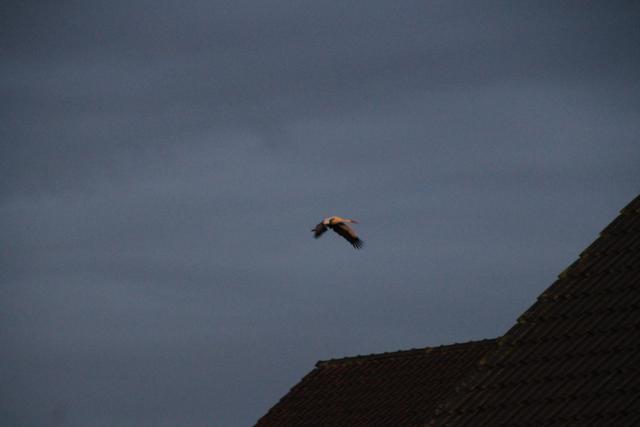 Im Anflug über Kirchheim | Foto: JüWi