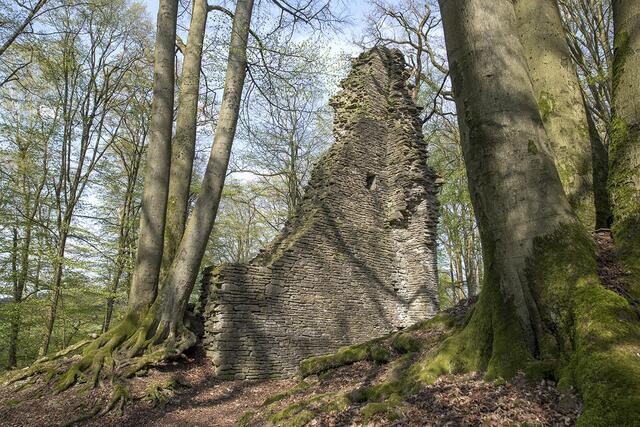 Lindlar-Scheel: Hoch aufragende Mauerreste eines Turmes der Burg Neuenberg. | Foto: M. Zanjani/LVR-Amt für Bodendenkmalpflege im Rheinland