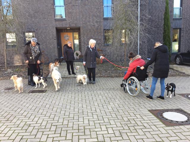 Die ganze Gruppe. v.l. Anna Marquedant mit Mina &amp; Ellie, Renate Könen mit Trixie, Ingrid Schulte zur Surlage mit Thobby, Mara Niggemann mit Cruella (Cruella leider nicht im Bild), Katharina Güthing mit Butch | Foto: Sandra Lucka