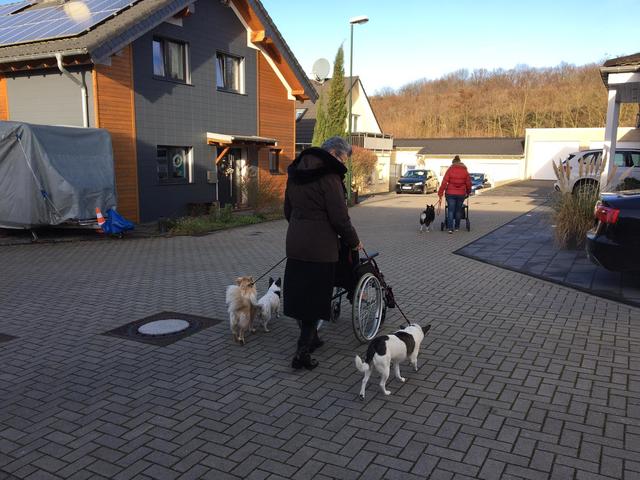 Anna Marquedant mit v.l. Mina, Ella und Ellie | Foto: Sandra Lucka