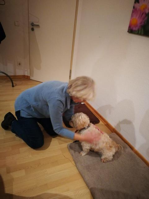 Malteser-Mix Thobby will noch nicht immer so wie Frauchen | Foto: Sandra Lucka