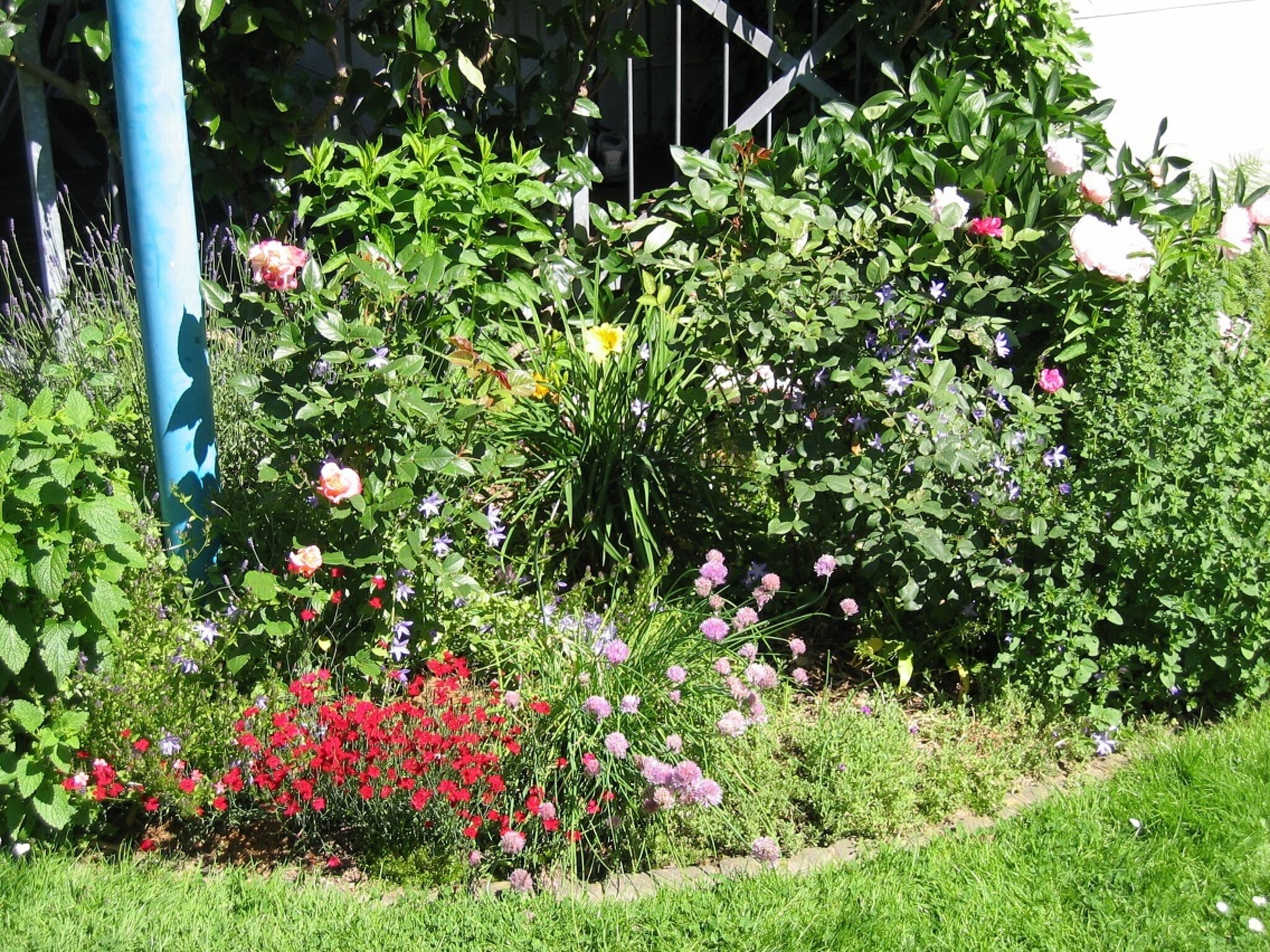 Himmel und Ääd: Hilfreiche Tipps zur Gartengestaltung - auch jetzt in