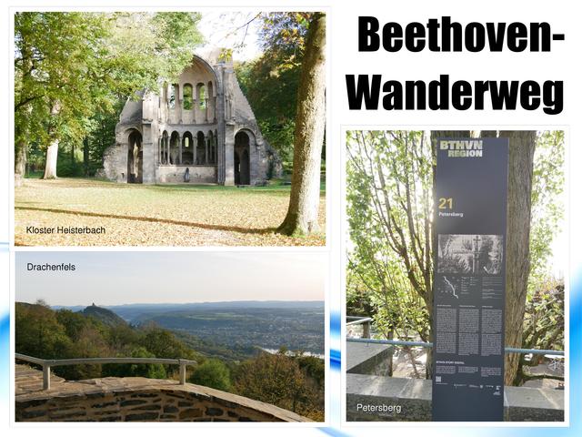 Die Ziele der beiden Exkursionen ins Siebengebirge: Petersberg und Drachenfels.  | Foto: Anita Brandtstäter