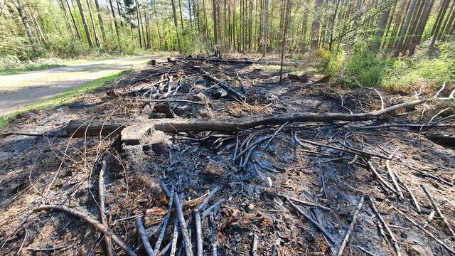 Wenn es zum Brand im Wald kommt, breiten sich die Flammen auf dem aktuell trockenem Boden rasend schnell aus. | Foto: mt