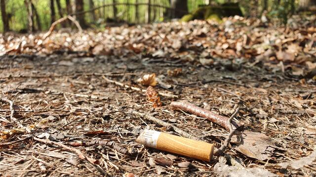 Raucher müssen sich im Wald zurückhalten: Das fahrlässige Verhalten von Waldbesuchern ist die häufigste Brandursache im Wald. | Foto: mt