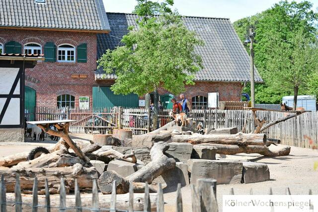 Foto: Robels
