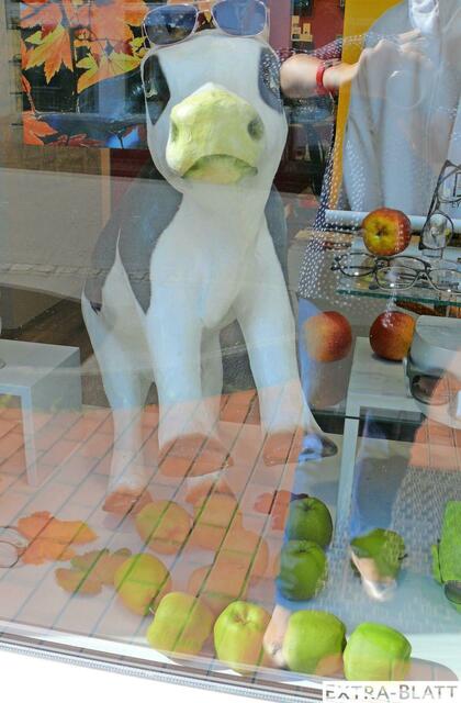 Foto: Gast