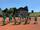 Mit Spaß und Ehrgeiz bei der Sache sind die Kinder und Jugendlichen, denen der Tennis-Club Lindlar den Sport mit der der Filzkugel näherbringen möchte. | Foto: Jonas Ippen