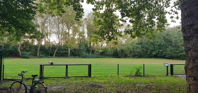 Die Hundewiese wirkt umzäunt, ist es aber nur teilweise, die Hunde können in den Park, zur Vorgebirgstraße und auf die Bahngleise laufen. | Foto:  Broch