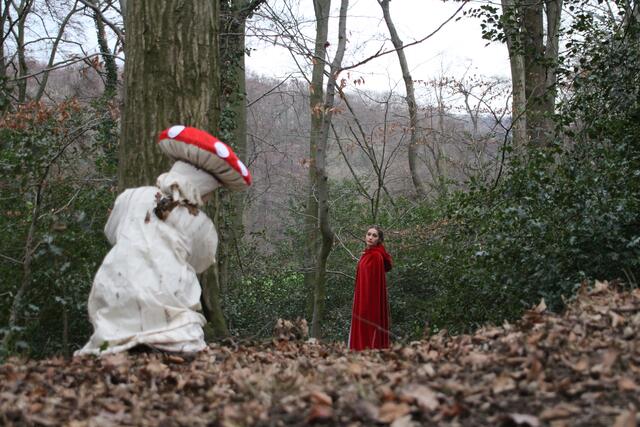 Freuen Sie sich darauf, in ein paar Monaten märchenhafte Wesen im Wald zu entdecken!
