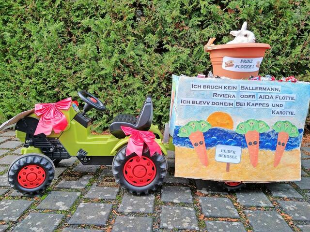 Kennziffer 28 - Einen Festwagen für ihr Kaninchen „Prinz Flocke I.“ hat Ina Frohn aus Brühl gebastelt. | Foto: Ina Frohn