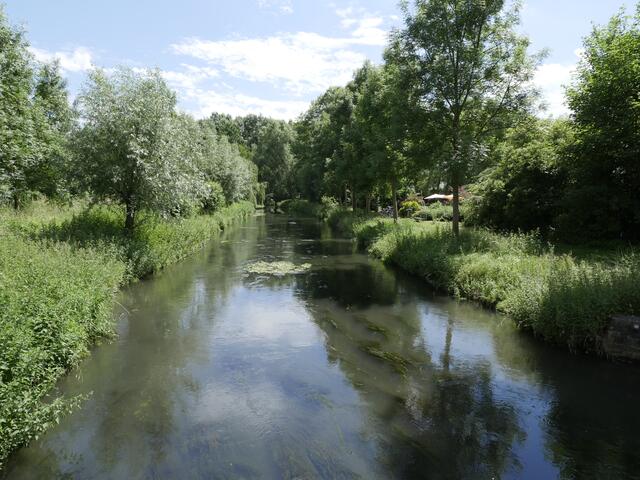 2017: So grün ist es an der Erft in Bergheim | Foto: Heinz Könen