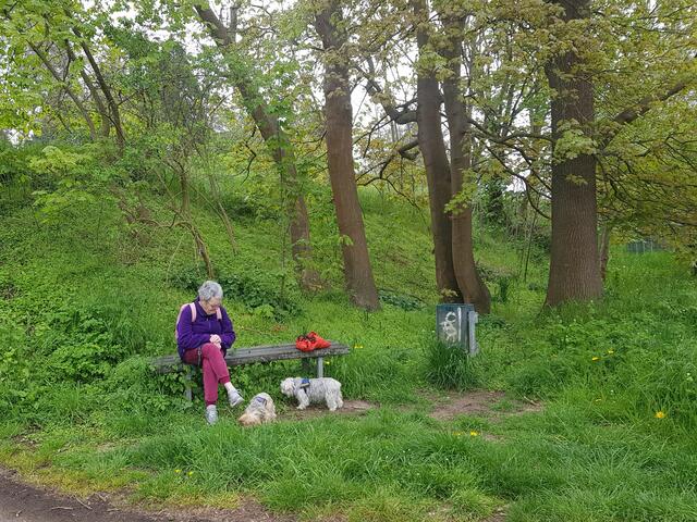 Leila, Trixie und Team, unterwegs zwischen Glesch, Paffendorf und Angelpark. Kurze Rast auf einer Bank. | Foto: Renate Könen