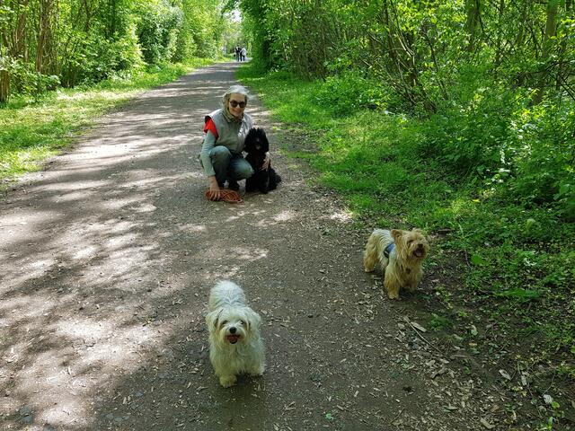 Dr. Ilona P. mit Zaddy, Brühl, unterwegs zwischen Angelpark und Paffendorf und Glesch, häufige "Wiederholungstäterin", wurde auf fast allen Routen gesichtet. 1.000 Dank dafür. | Foto: Renate Könen
