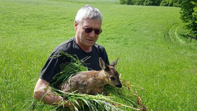 Die Kitze darf man auf keinen Fall einfach so anfassen, denn wenn sie nach Mensch riechen, werden sie vom Muttertier, der Ricke, meist verstoßen. Ein Büschel Gras oder – besser noch – Gummihandschuhe können das leicht verhindern. | Foto: Ralf Huckriede