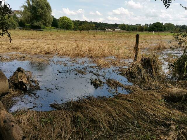 In den restlichen Wasserlachen sammelt sich Dreckswasser samt Ölfilm. | Foto: Volker Düster