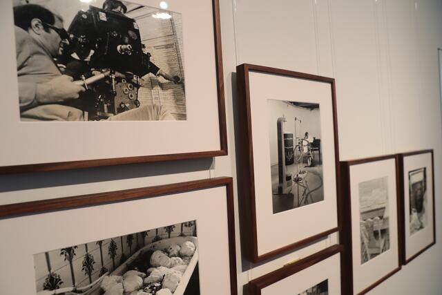 Ausstellungsstücke | Foto: we
