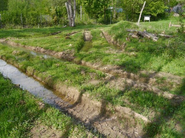 Der THW schuf an der „Grube Weiß“ Wassertümpel. Foto: Biologische Station Rhein-Berg