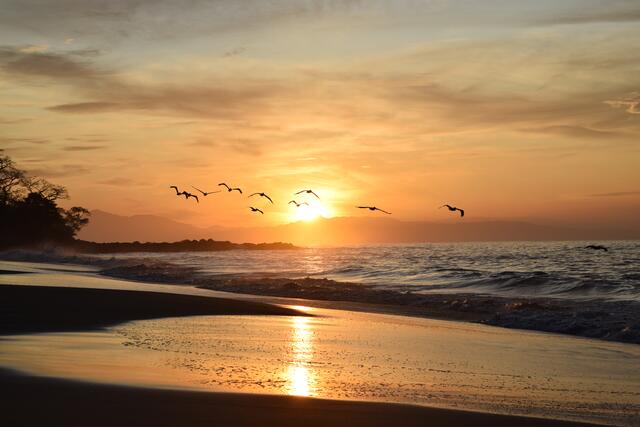 Sonnenaufgang am Pazifikstrand der Halbinsel Nicoya | Foto: Martina Schäfer, Bad Honnef - Orscheid