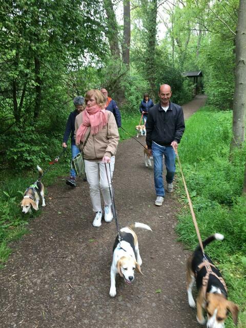 Es sind doch noch Bilder angekommen. Los geht's. Unterwegs Richtung Checkpoint 3... | Foto: Landesgruppe Mittelrhein im Beagle Club Deutschland e.V.