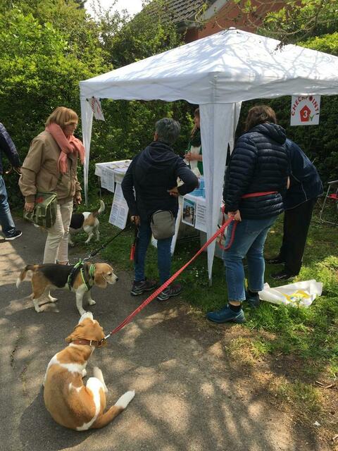 Interessante Gespräche an Checkpoint 3 | Foto: Landesgruppe Mittelrhein im Beagle Club Deutschland e.V.