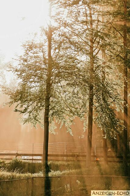 Foto: Lea Steinhausen