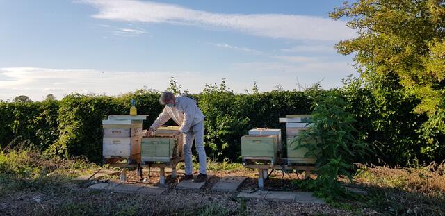 Ralf Heipmann ist Imker und er kümmert sich um Bienen.  | Foto: Blatt-Gold