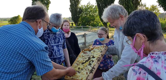 Hmmmm, wir probieren den Honig aus Frechen.  | Foto: Blatt-Gold