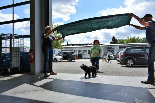 Durchgehen lassen: Yorkshire-Havaneser-Mix Lucy macht ein flatterndes Tuch keine Angst | Foto: ASB Bergisch Land e.V.