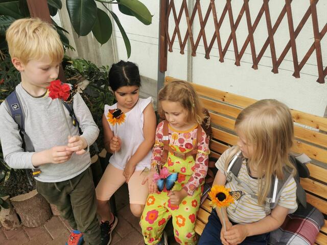 In die Welt der Schmetterlinge tauchten die KiTa-Kinder hautnah ein. | Foto: KiTa "Die Nachtigall"