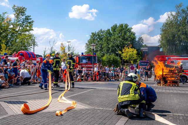 Foto: Fotos: Alfred Heimermann