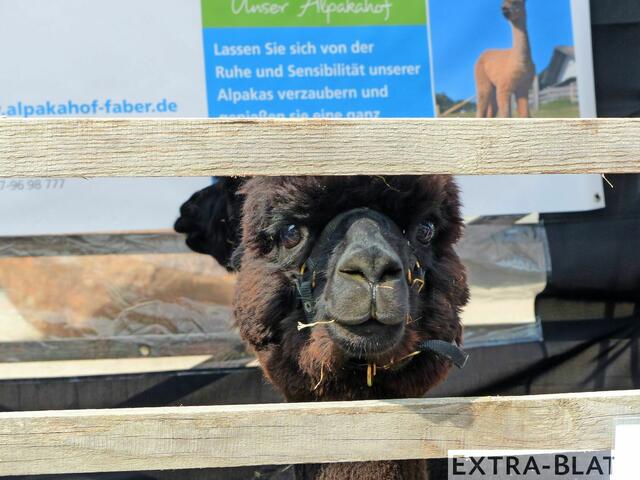 Foto: Zumbusch