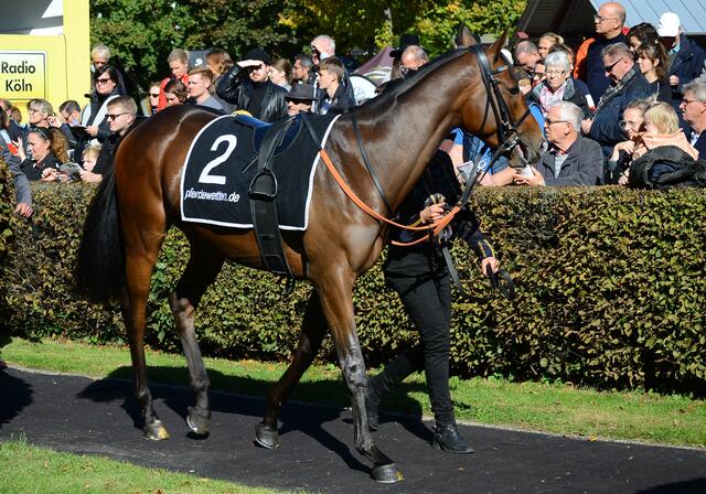 Fantastic Moon im Führring | Foto: Horst Nauen