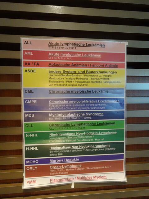 Leukämien und Lymphome | Foto: Bildrechte: Norbert Herod