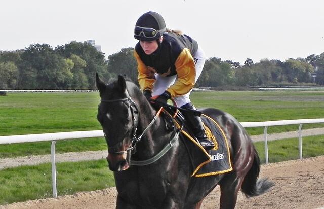Aufgalopp für Porcupine Creek &amp; Marie Ruckhaber  | Foto: Horst Nauen