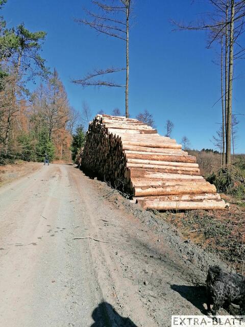 Foto: Steimel