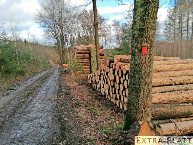 Foto: Steimel