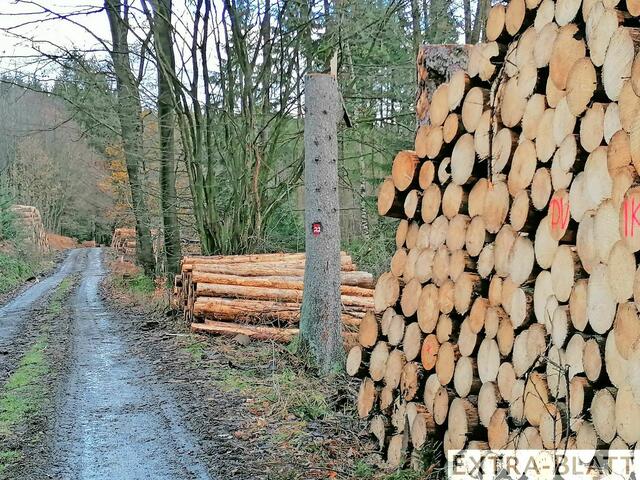 Foto: Steimel