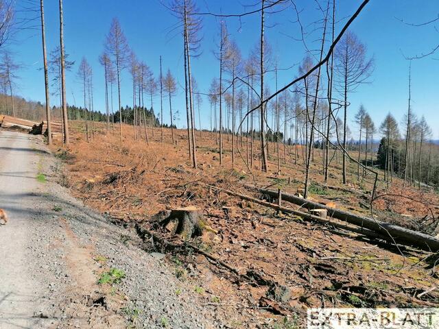 Foto: Steimel
