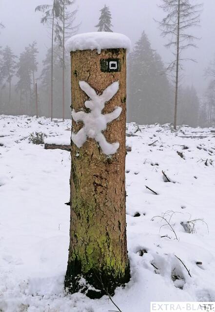 Foto: Steimel