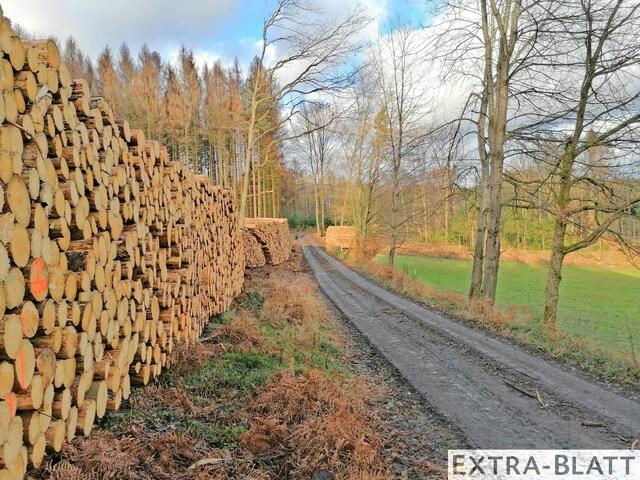 Foto: Steimel